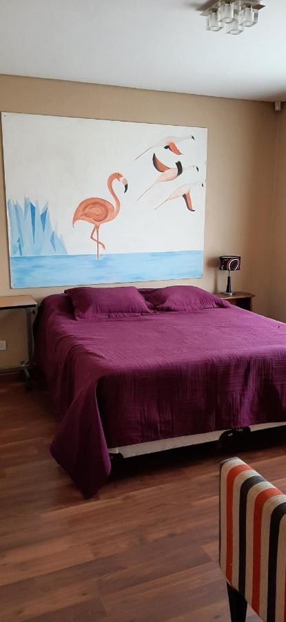 Shotel Calafate Exteriér fotografie